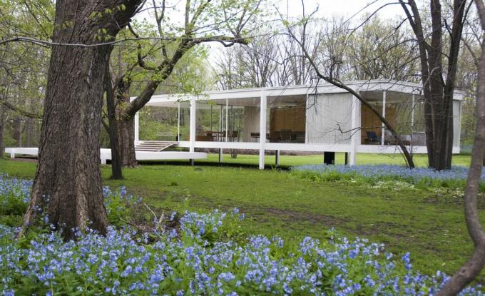 een verhaal glazen eenzijdig huis uit de grond opgeheven op pieren in landelijke omgeving te midden van bomen en blauwe bloemen