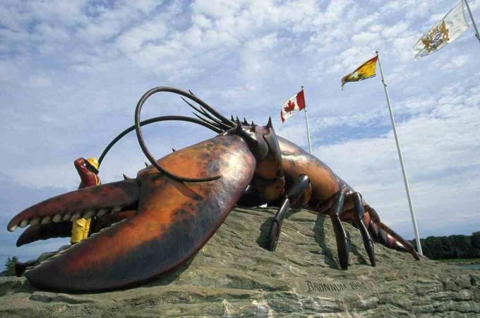 'S Werelds grootste kreeft, New Brunswick / Walter Bibikow / Photolibrary / Getty Images