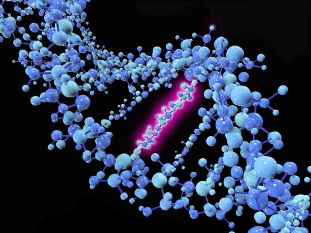 Een puntmutatie is een genetische mutatie waarbij een enkele nucleotidebase wordt gewijzigd, ingevoegd of verwijderd uit een sequentie van DNA of RNA.