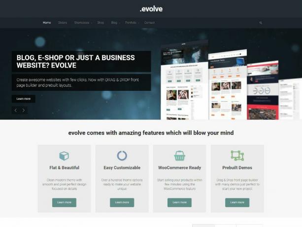 Het Evolve WordPress-thema