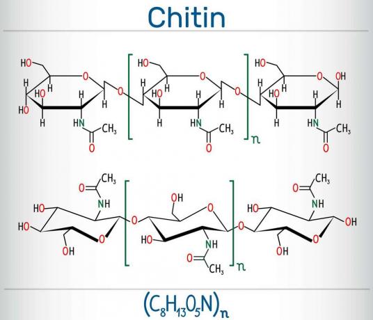 Chitine chemische structuur