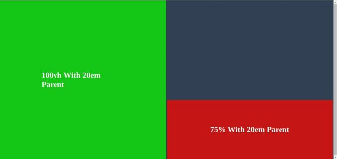 CSS-element met kijkvensterhoogte en gedefinieerd ouder