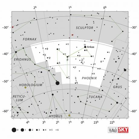 Constellatie Phoenix-grafiek