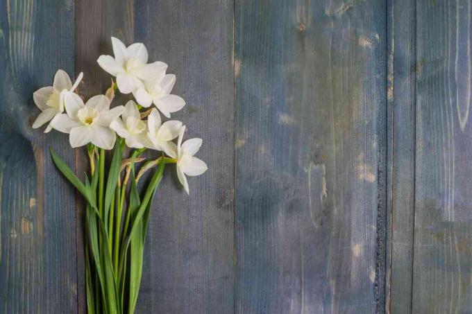 Witte narcissen op een rustieke houten achtergrond.