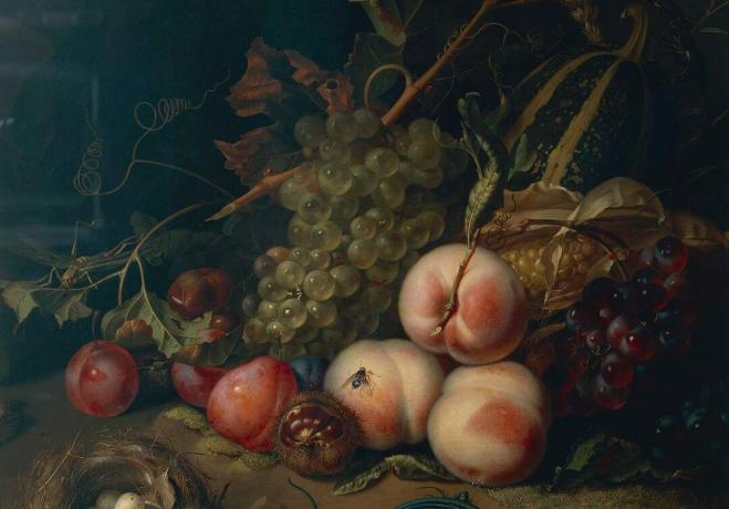 Comp Save to Board Italië, Florence, Stilleven met fruit en insecten door Rachel Ruysch, 1711, olieverf op doek, detail