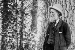 Foto van John Muir in het bos