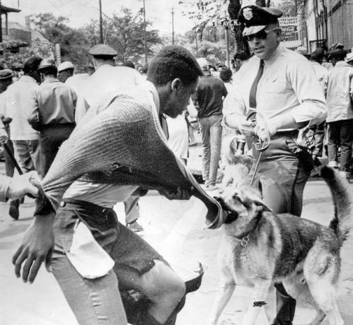 Een zwarte Amerikaanse demonstrant wordt aangevallen door een politiehond tijdens demonstraties tegen segregatie, Birmingham, Alabama, 4 mei 1963.