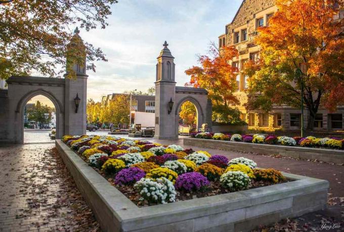 Houd van mijn school, vooral in de herfst - Indiana University of Bloomington