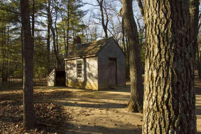 Thoreau's Cabin bij Walden Pond