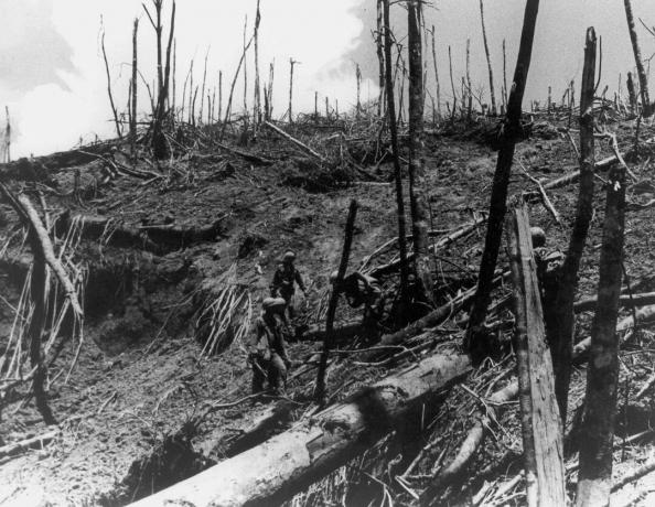 Slag bij Hamburger Hill