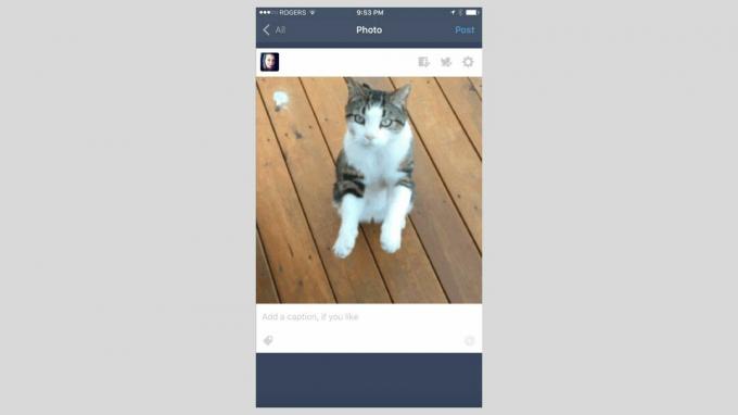 Een screenshot van de Tumblr-app voor iOS.