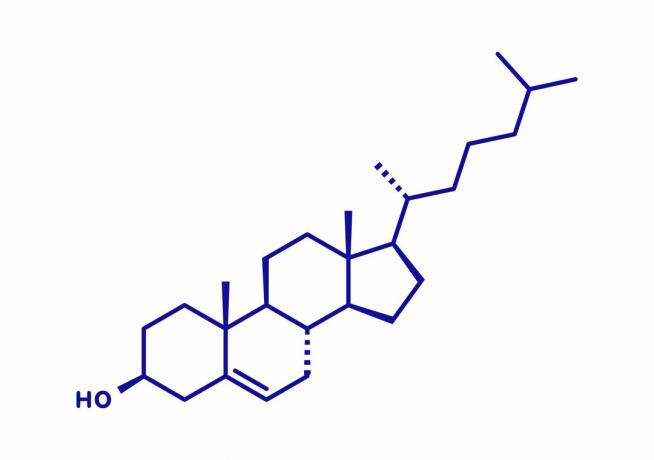 Cholesterol molecuul