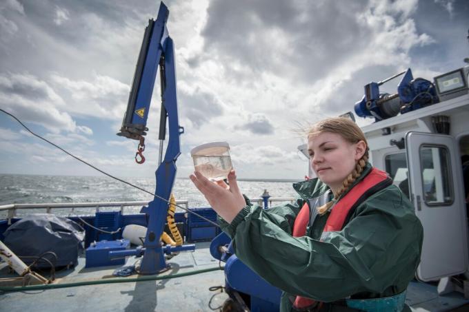 Vrouwelijke wetenschapper die steekproef van plankton op onderzoeksschip inspecteert