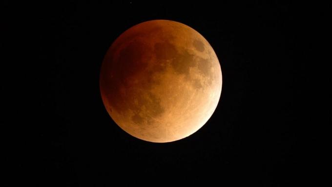 Een maansverduistering gezien door de telescoop van het Griffith Observatory.