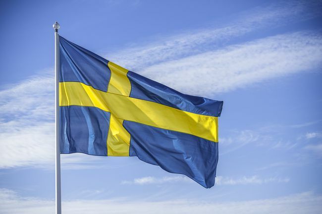 Zweedse natievlag in zonlicht