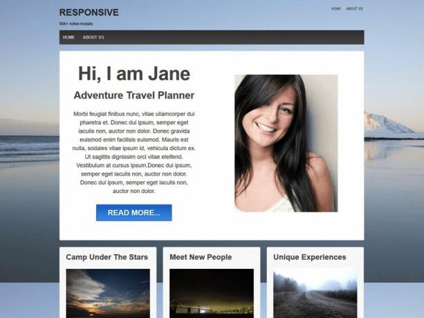 Het responsieve WordPress-thema