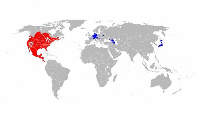 Wasbeer natuurlijk bereik (rood) en geïntroduceerd bereik (blauw).