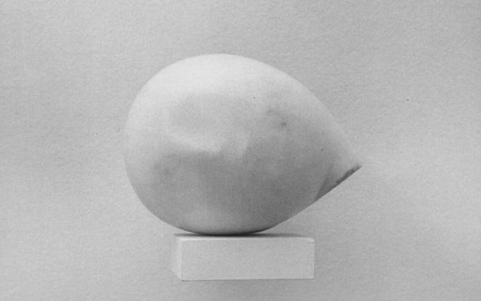 Constantin Brancusi hoofd van Prometheus