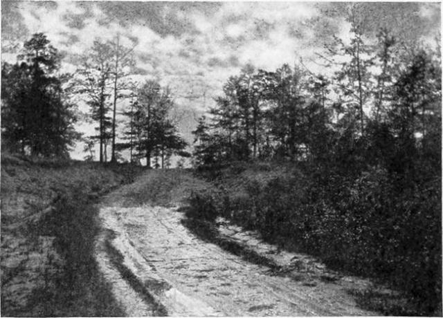 Plaats waar Aaron Burr gevangen werd genomen, in de buurt van Wakefield, Alabama.