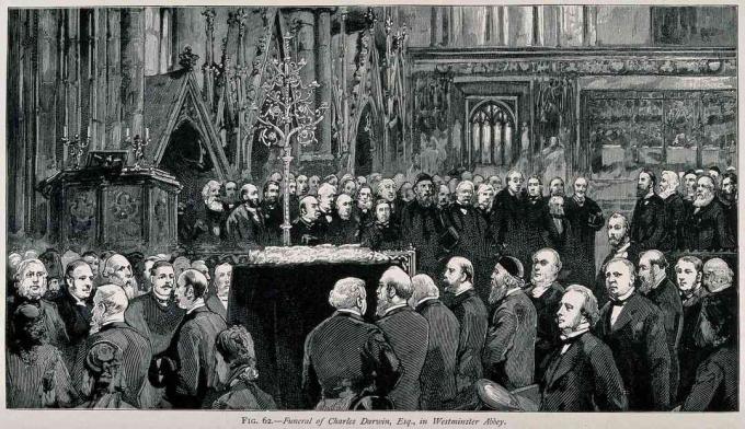 De begrafenisceremonie van Charles Darwin in Westminster Abbey, april 1882