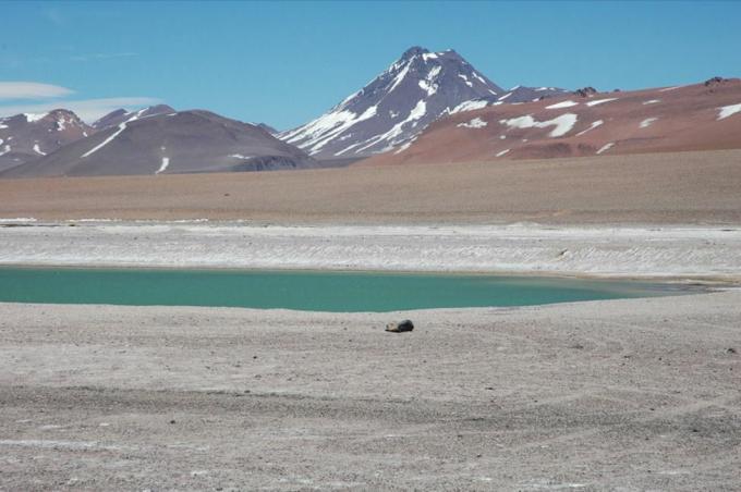 Afbeelding van de Acamarachi Pool