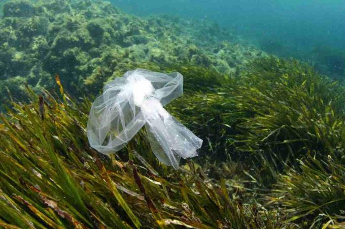 Plastic zak op zee. Deze kunnen gevaarlijk zijn voor zeeschildpadden die ze verwarren met voedsel, zoals kwallen.