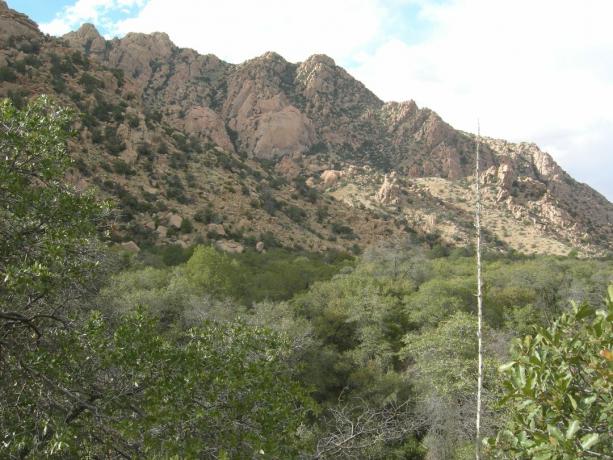 Cochise's Eastern Stronghold, Dragoon Mountains, Zuidoost-Arizona.