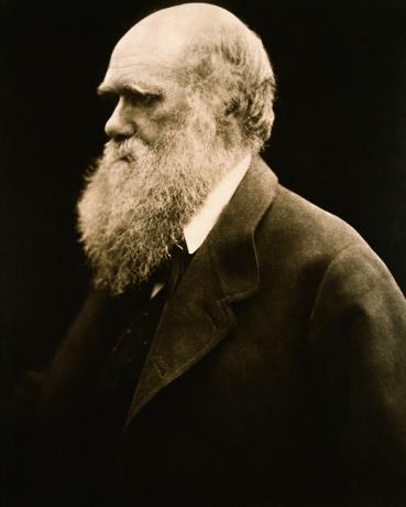 Portret van Charles Darwin door Julia Margaret Cameron